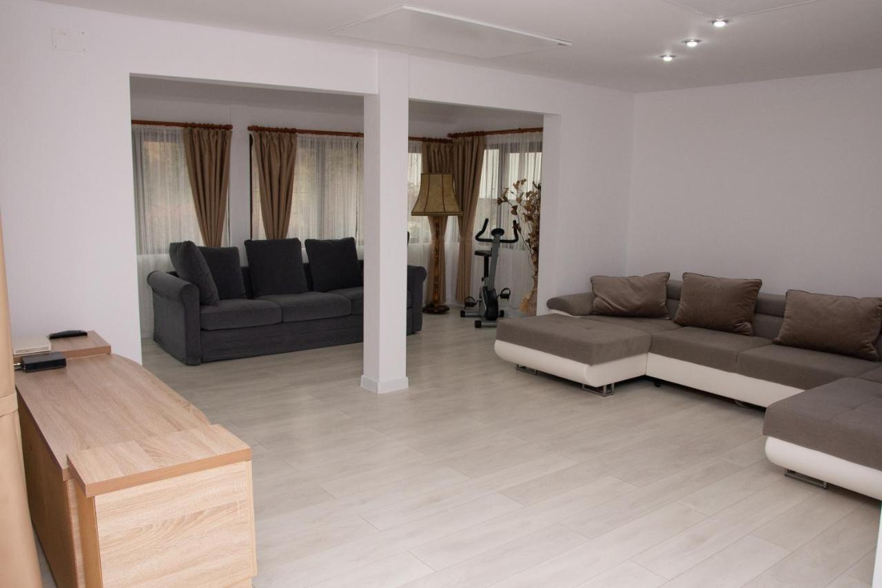 Casa Dintre Brazi Guest house *